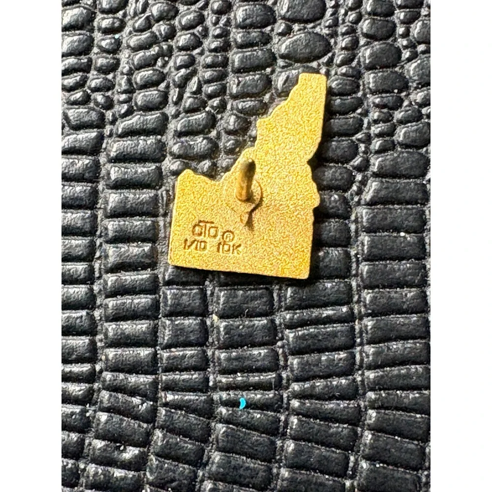 Vintage Gold Filled Idaho State Shape Lapel Pin 1.53g Collectible Jewelry